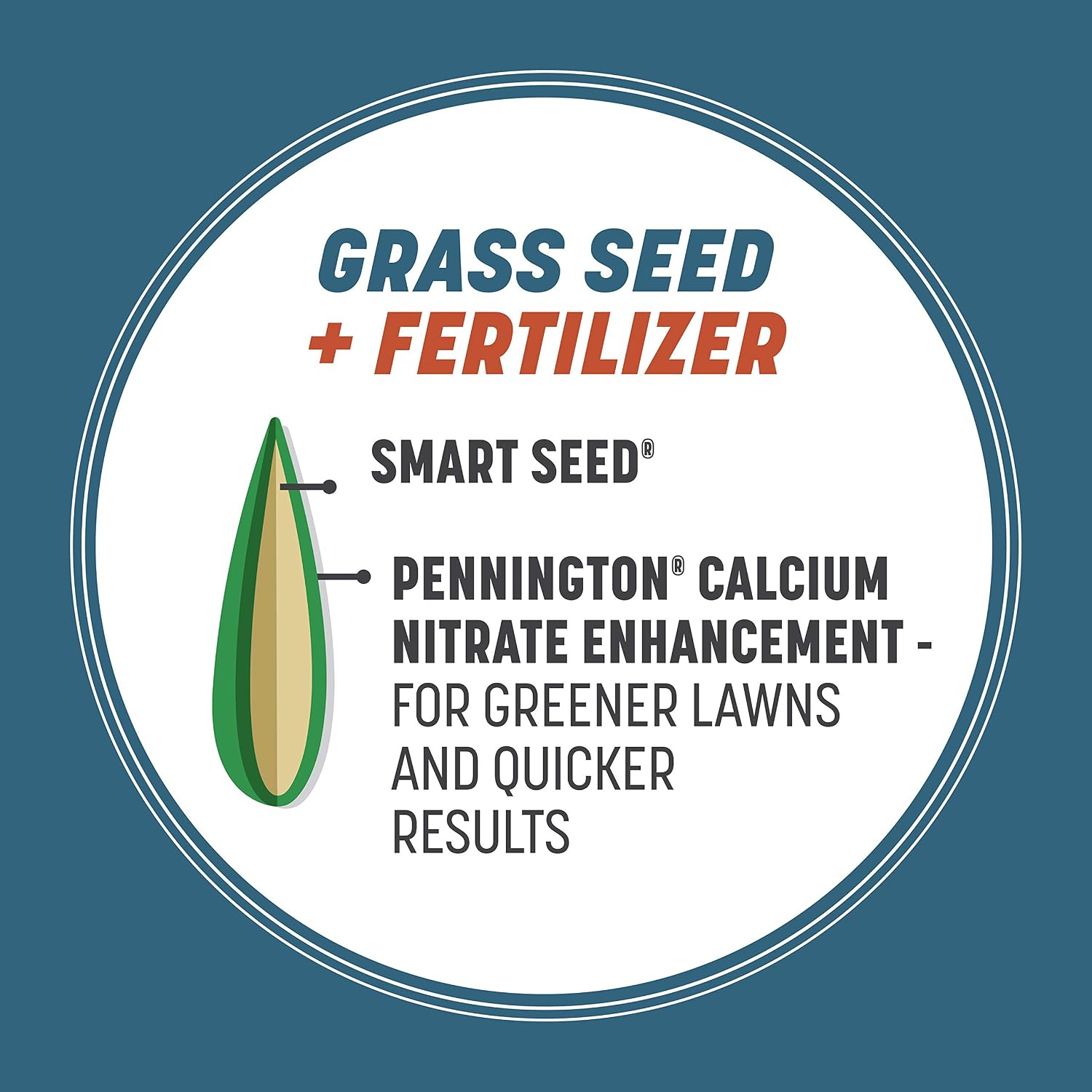 Thumbnail 2 de Pennington Grass Seed 7 lb