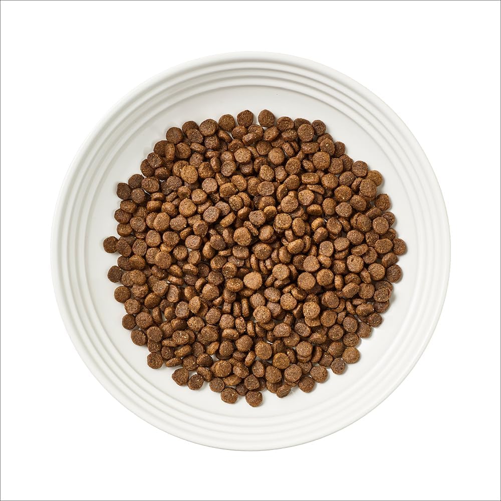Detalle 2 de Encore Cibo secco completo naturale senza cereali al gusto di salmone per gatti adulti — confezione da 3 sacchetti da 800 g