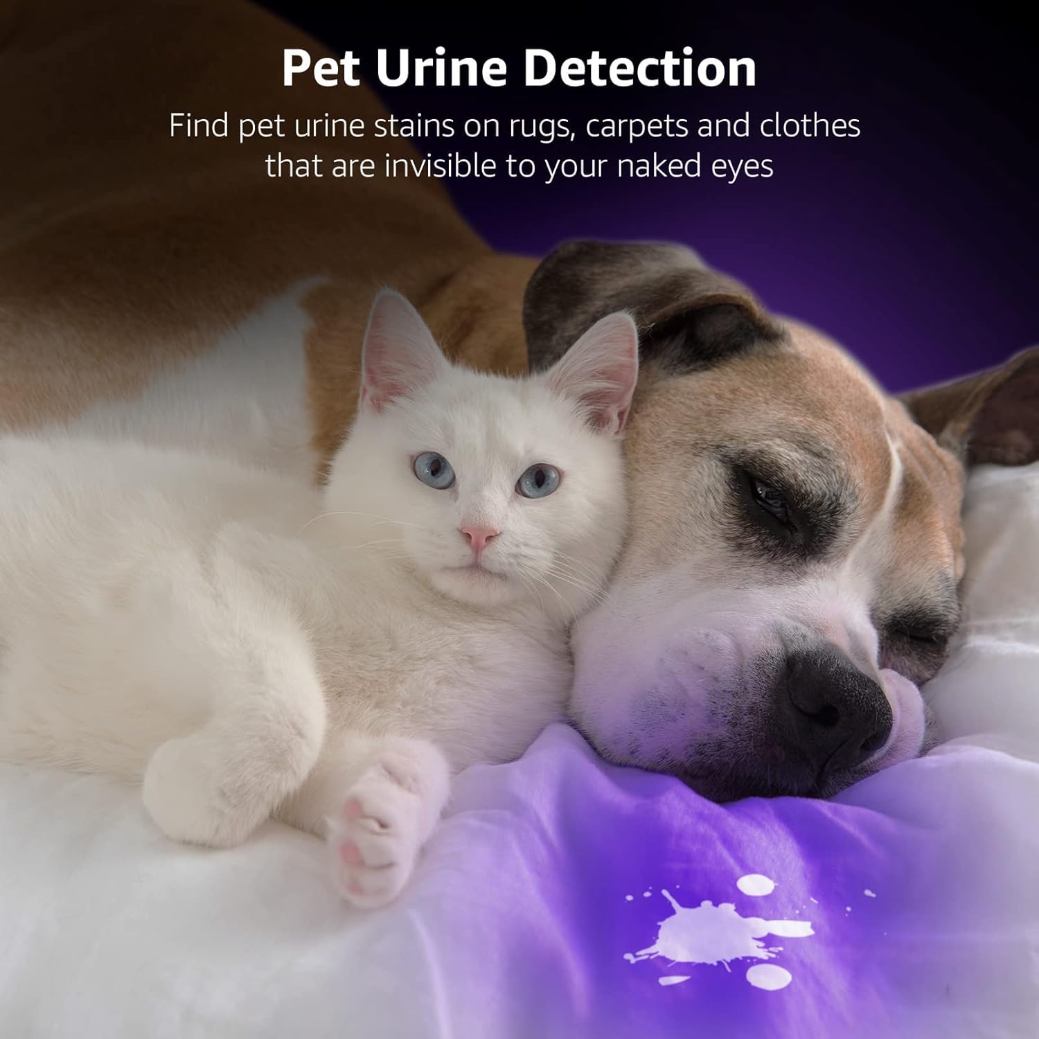 Detalle 2 de Lepro LE UV Torch 395 nm UV flashlight