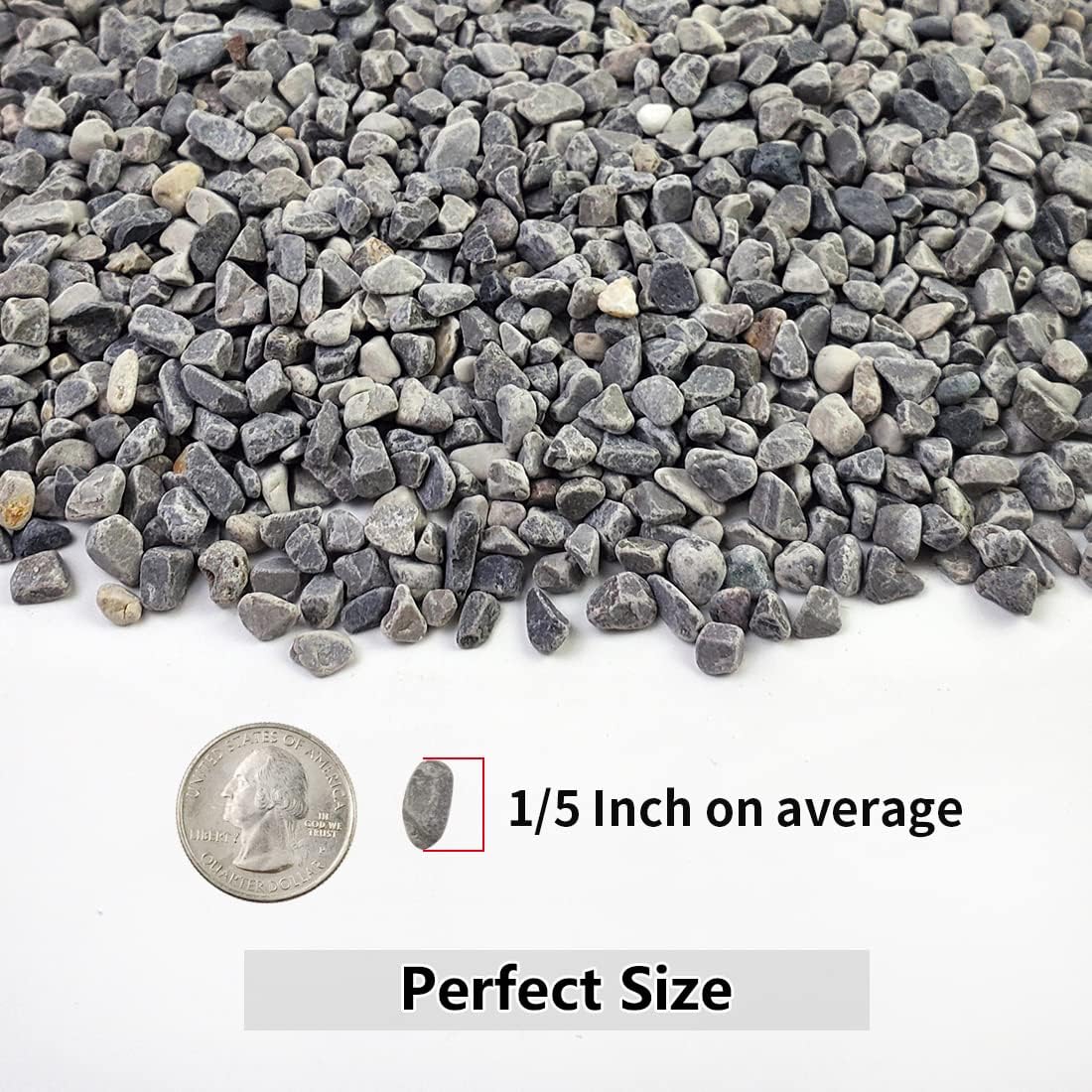 Detalle 2 de YISZM YISZM 2 lb Pebbles for Succulents and Cacti, 1/5-Inch Grey Stone