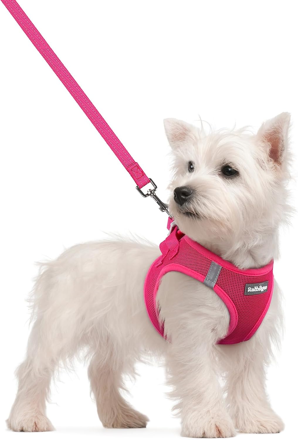 Detalle de Rabbitgoo Small Dog Harness S Set