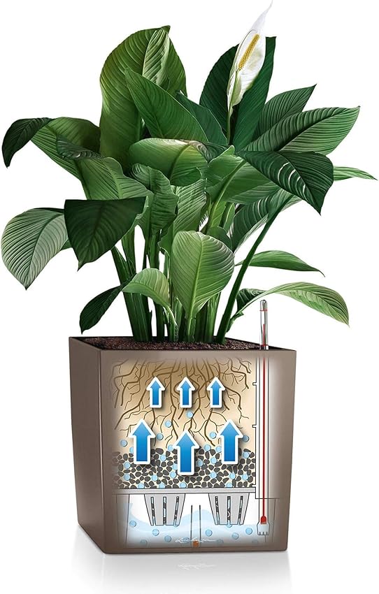 Thumbnail 6 de Lechuza Premium Cubeta de Plantado Cerrada 🪴 50x50x50cm Blanco