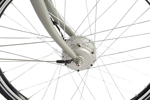 Thumbnail 5 de F.lli Schiano E-Moon Bici eléctrica 36V 13Ah