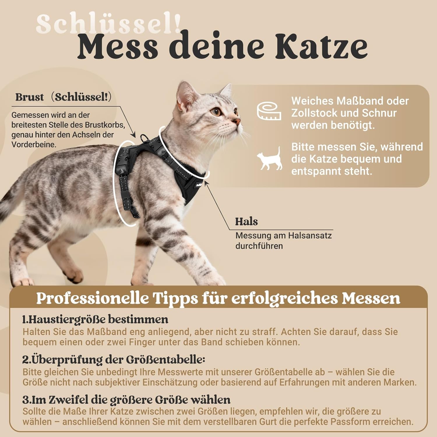 Detalle de rabbitgoo Katzengeschirr mit Leine, Ausbruchsicheres Brustgeschirr-Set (S) für Katzen, reflektierend, 3 Verstellbare Schnallen