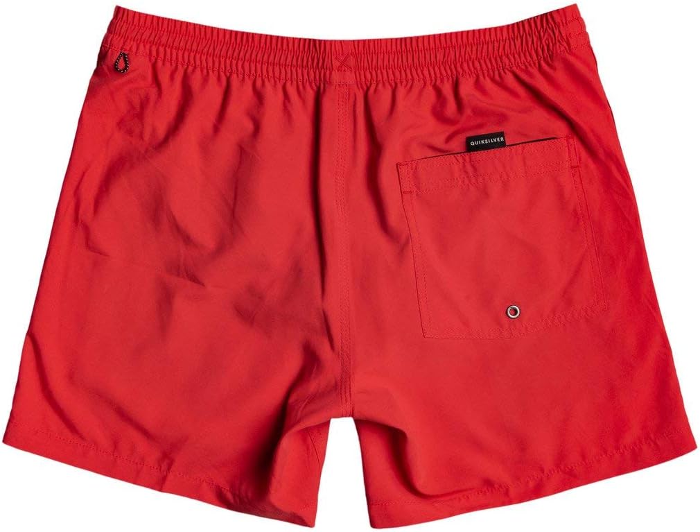 Thumbnail 1 de Quiksilver Everyday 13" Bermuda da bagno per ragazzo 8-16