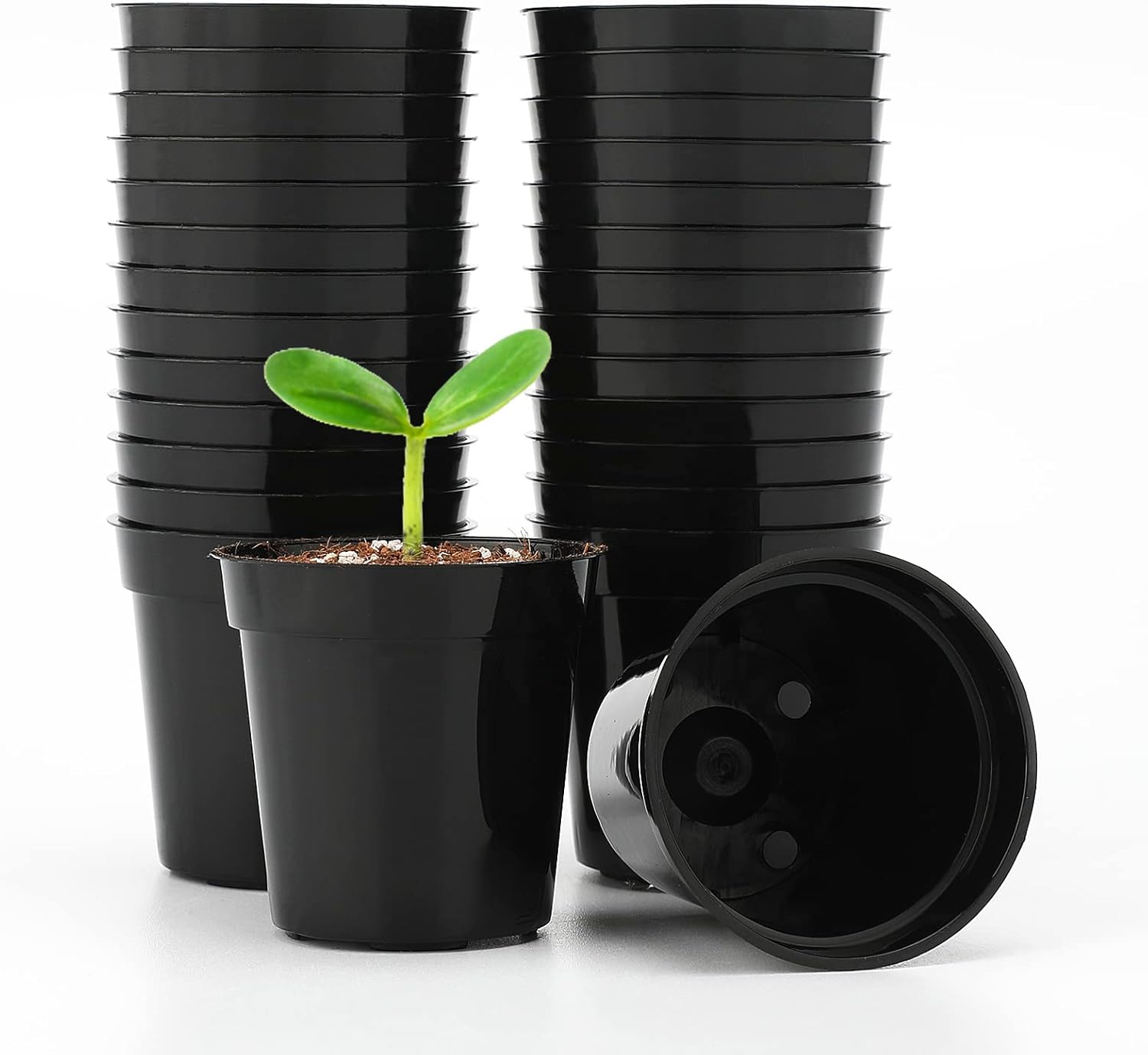 Thumbnail 5 de KINGLAKE Anzuchttöpfe 10 cm, 12 Stück – Kunststoff-Pltanzgefäße für Sämlinge mit Drainagelöchern