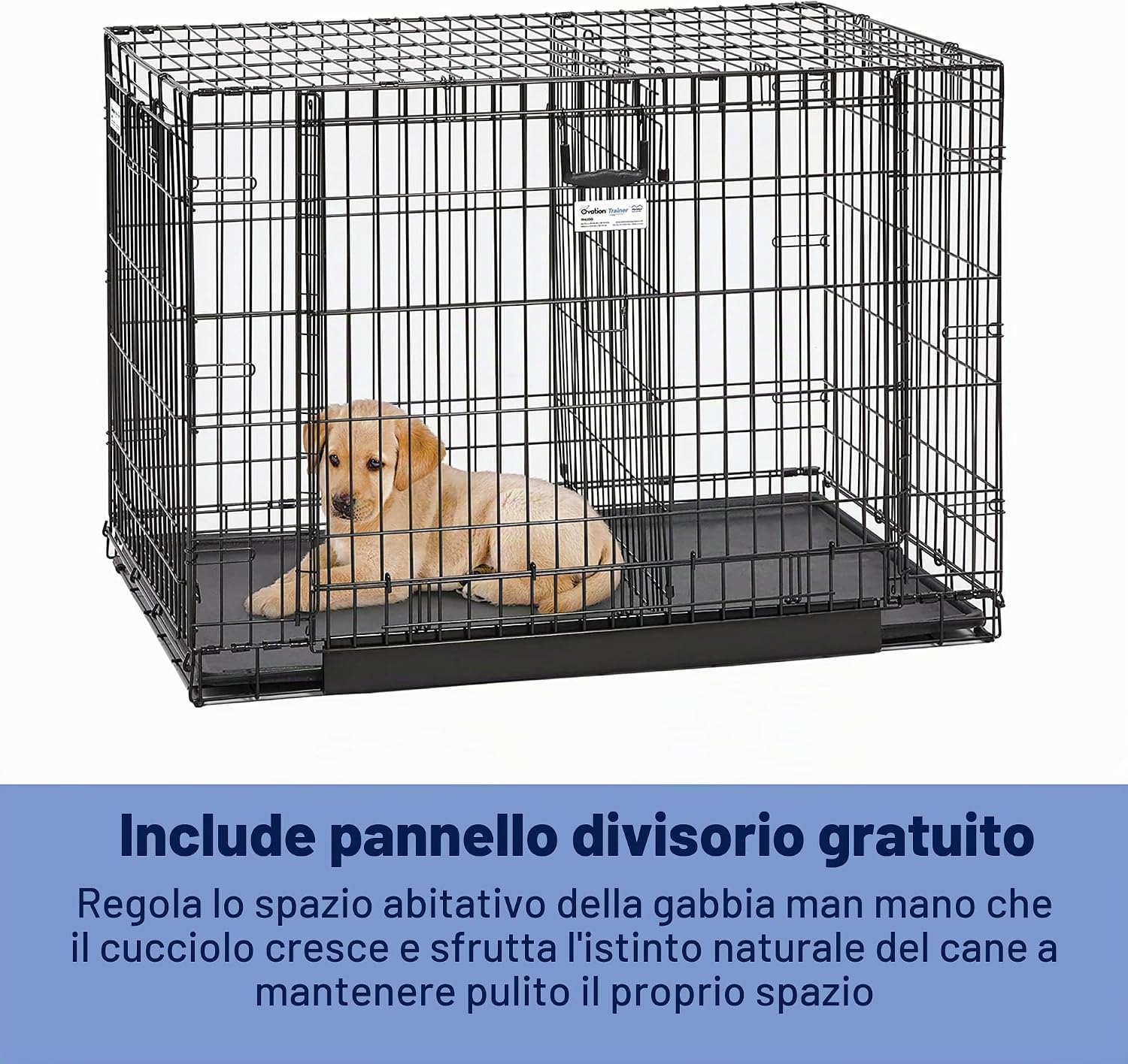 Detalle de MidWest Homes for Pets Small Ovation: gabbia pieghevole a doppia porta per cani di piccola taglia