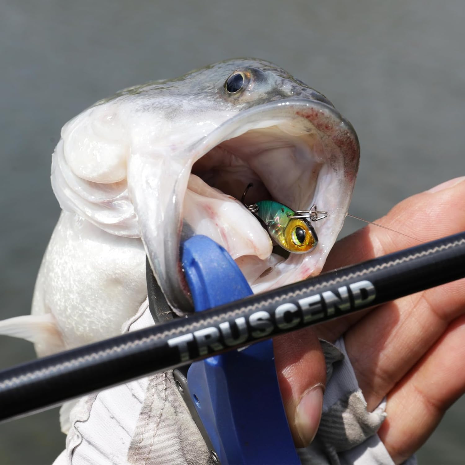 Thumbnail 5 de TRUSCEND Easy Catch Vibe Spinner mit BKK-Haken – Vielseitiger Vibrierender Jig-Spinner