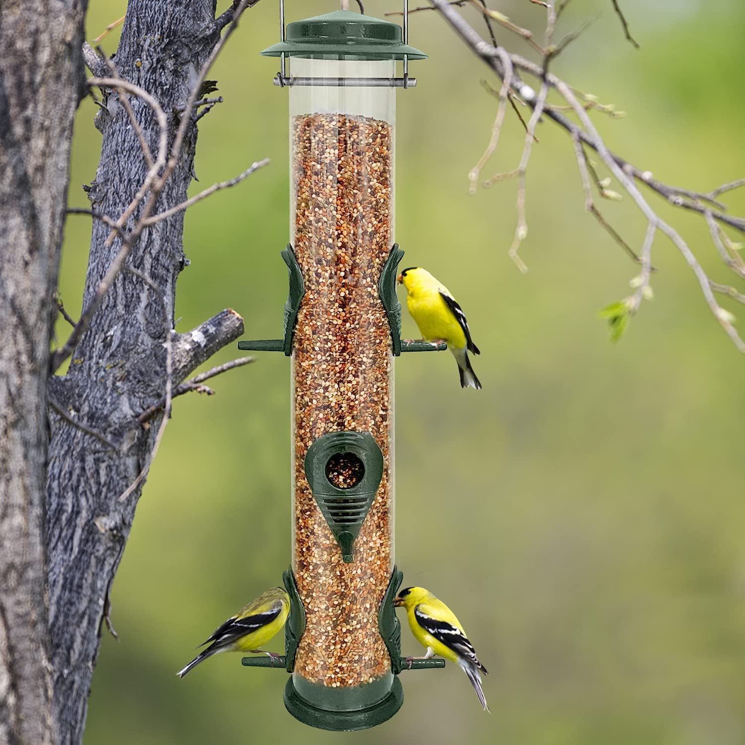 Thumbnail 4 de Metal Bird Feeder Tube Hanging Feeders (6 Port) Weatherproof Metal Tube Seed Feeder with Steel Hanger – Green
