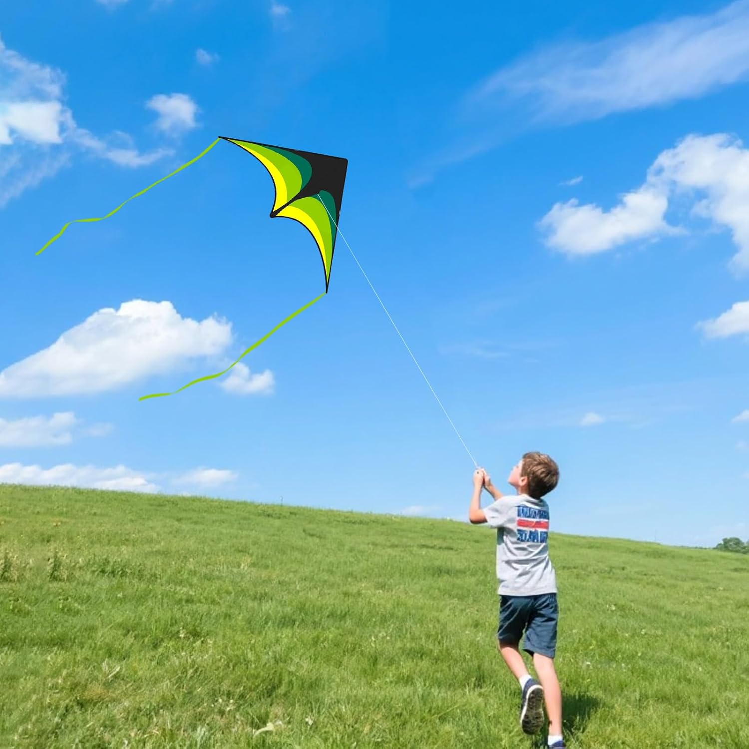 Detalle 2 de Kite Set for Kids and Adults 100m Line
