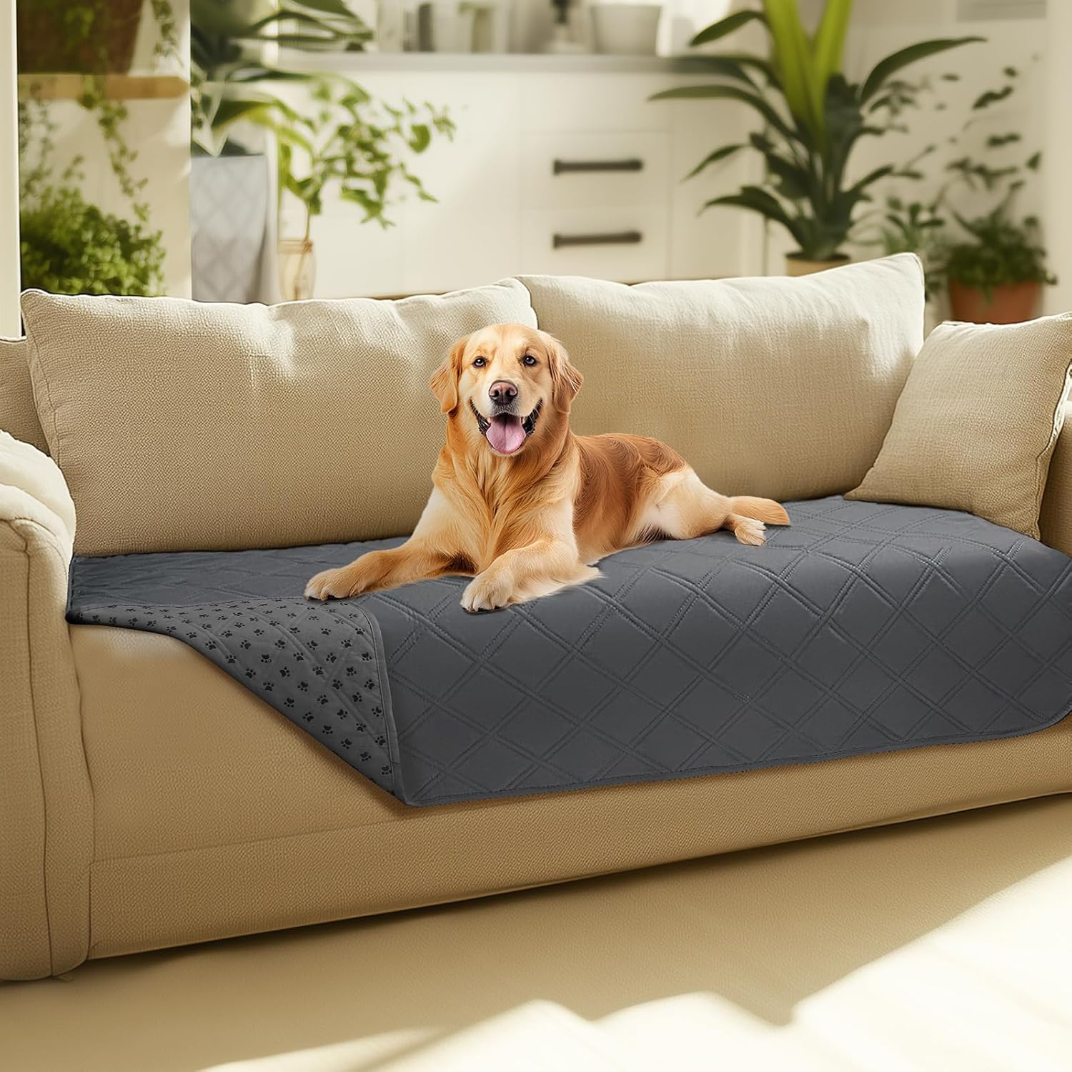Detalle de luciphia Hundedecke 100% wasserdicht, rutschfestes Design, 76 × 178 cm – Sofa, Bett, Auto