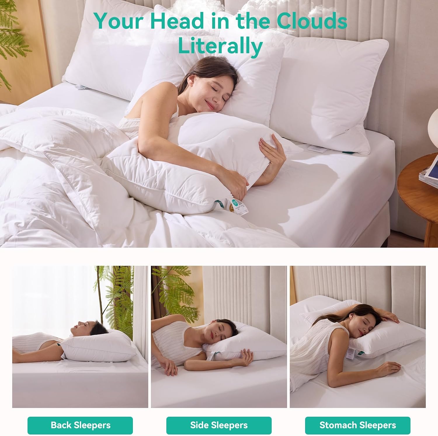 Detalle de Three Geese King Pillow, Three-Chamber Feather and Down Fill, 100% Cotton