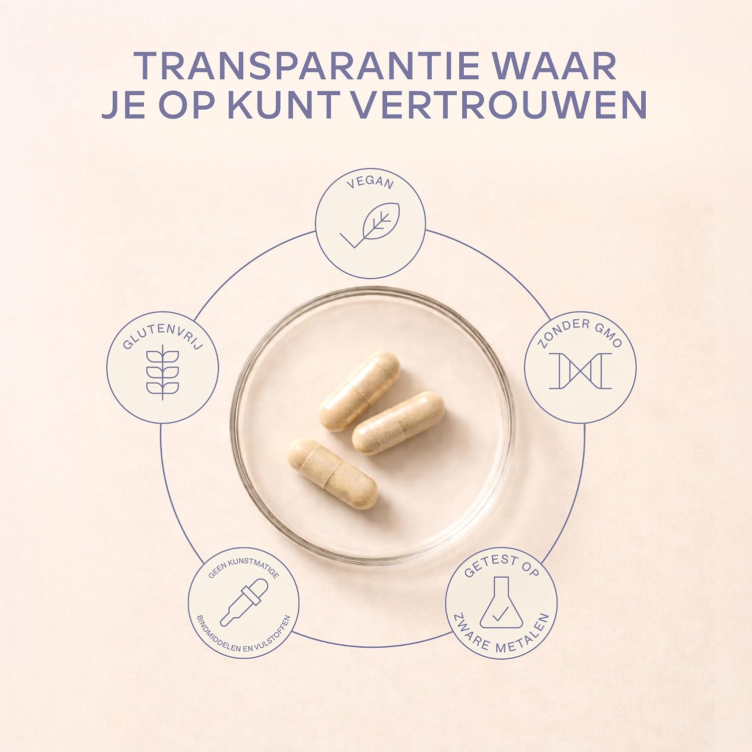 Detalle de AAVALABS Mariadistelcomplex, 120 tabletten met 80% silymarine en kruidenmix