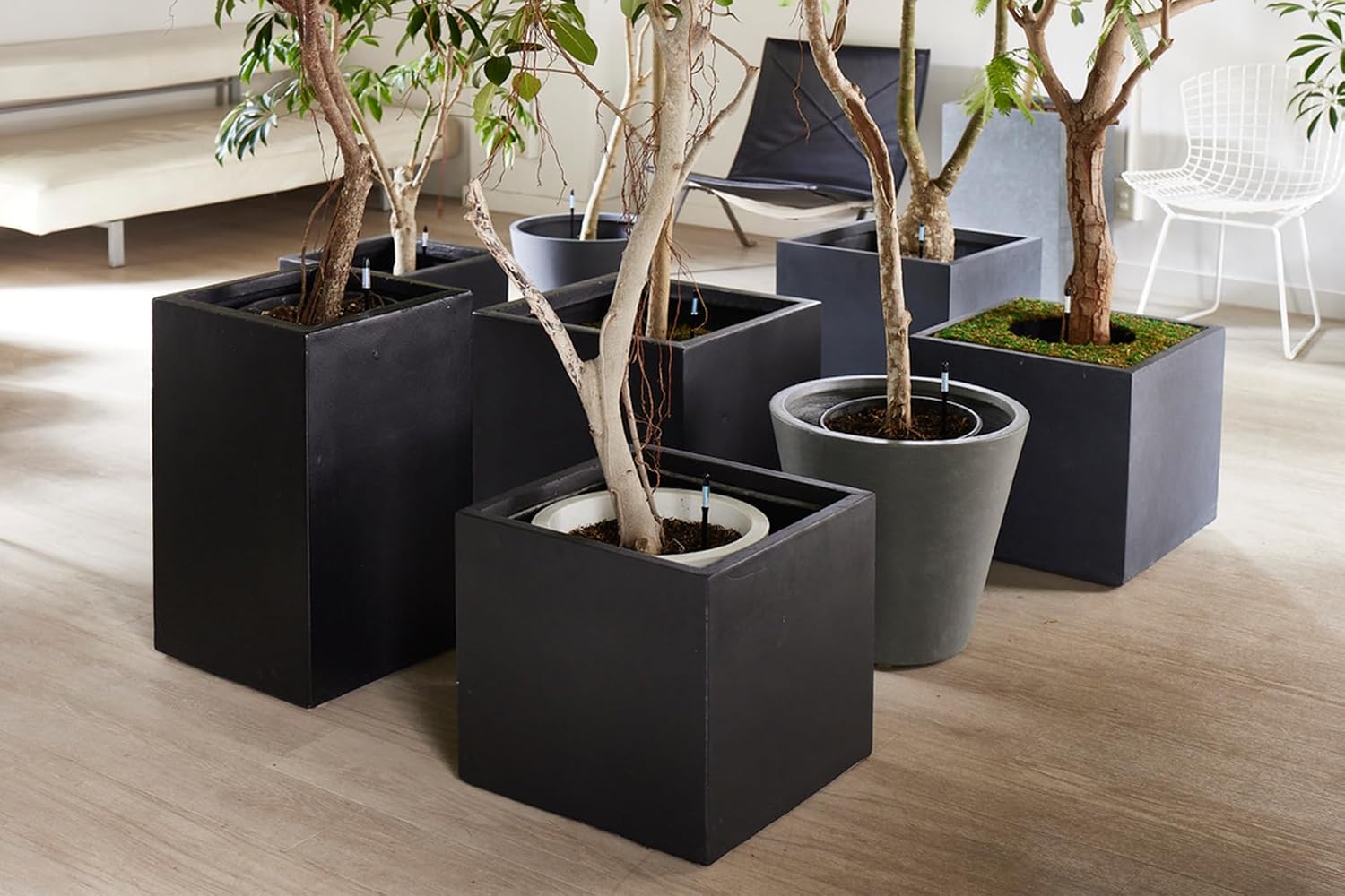 Thumbnail 4 de Sustee plant watering checker set of 5