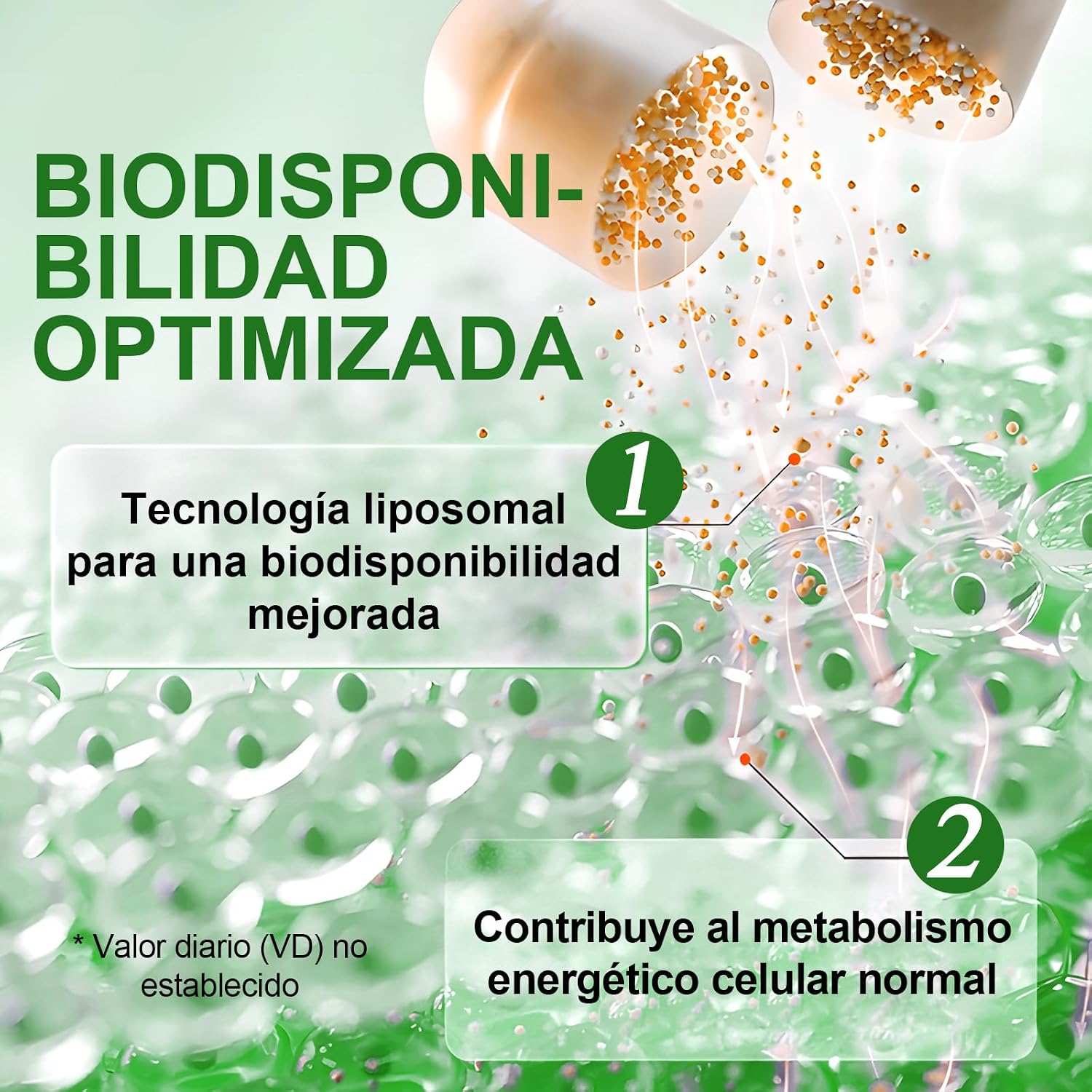 Detalle 2 de Nicotinamida Ribósido con Resveratrol y Quercetina 120 cápsulas