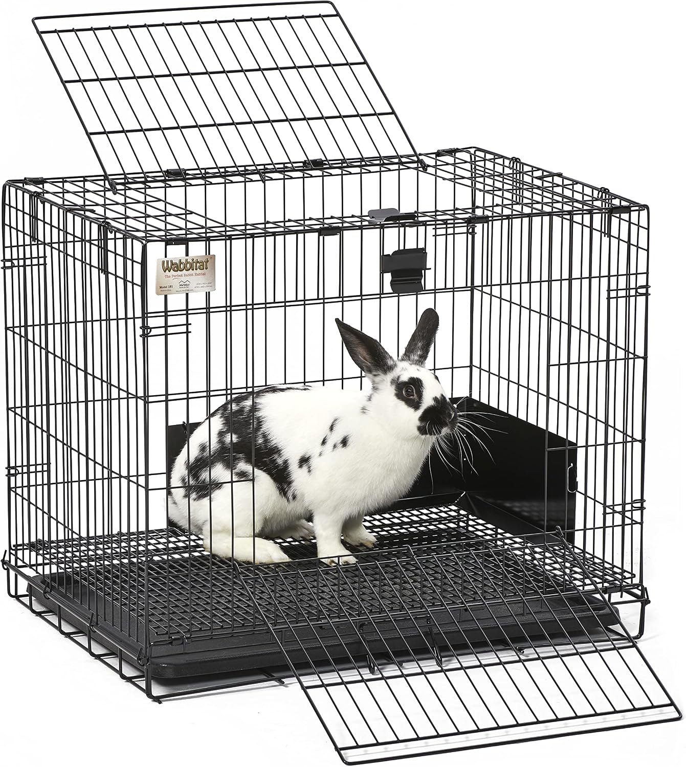 Detalle 2 de MidWest Homes 151 gabbia per conigli 63,5 cm 🐰