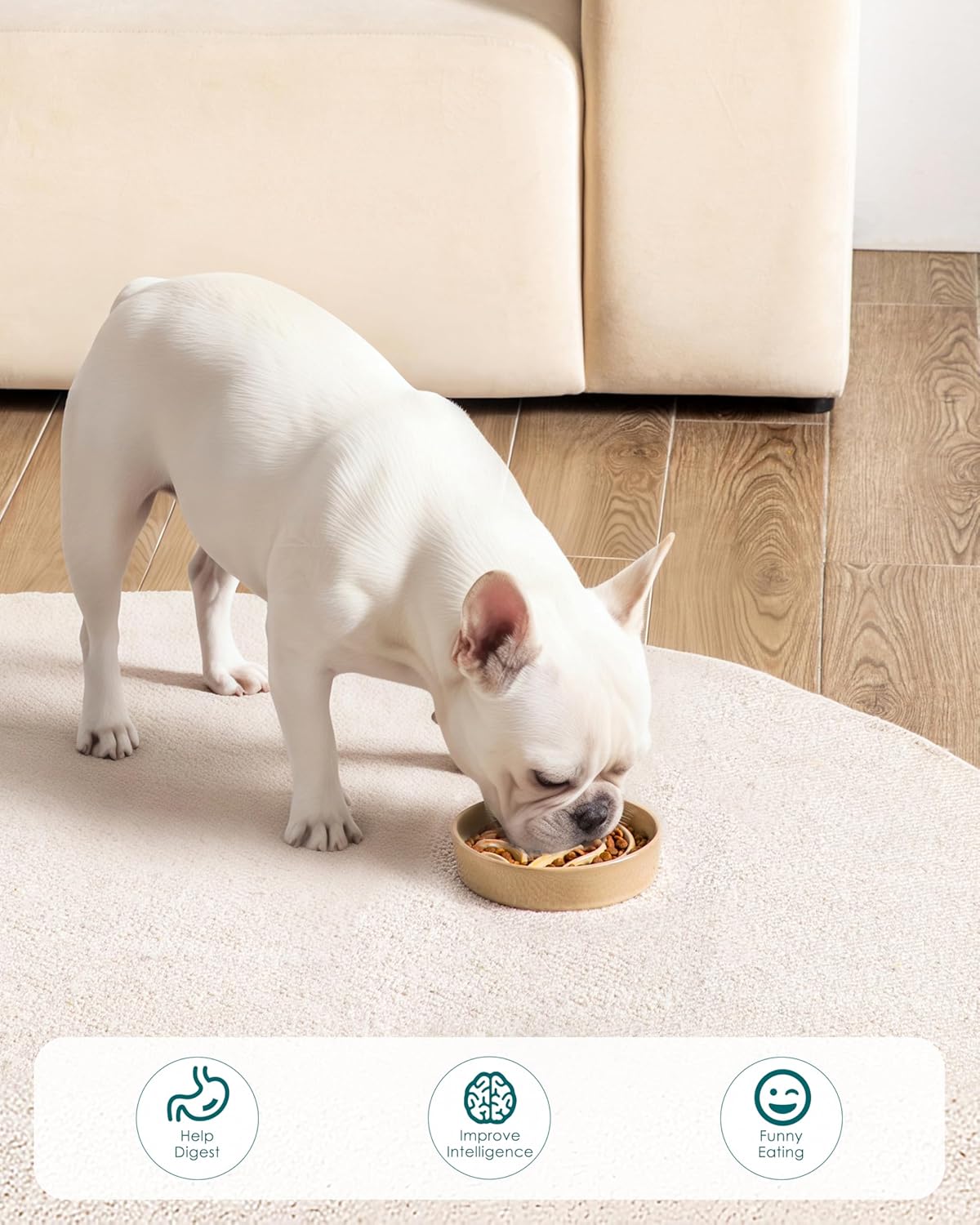 Thumbnail 6 de vancasso Slow Feeder Dog Bowl (0.6 Cup) ceramic puzzle dish for small breeds and kittens