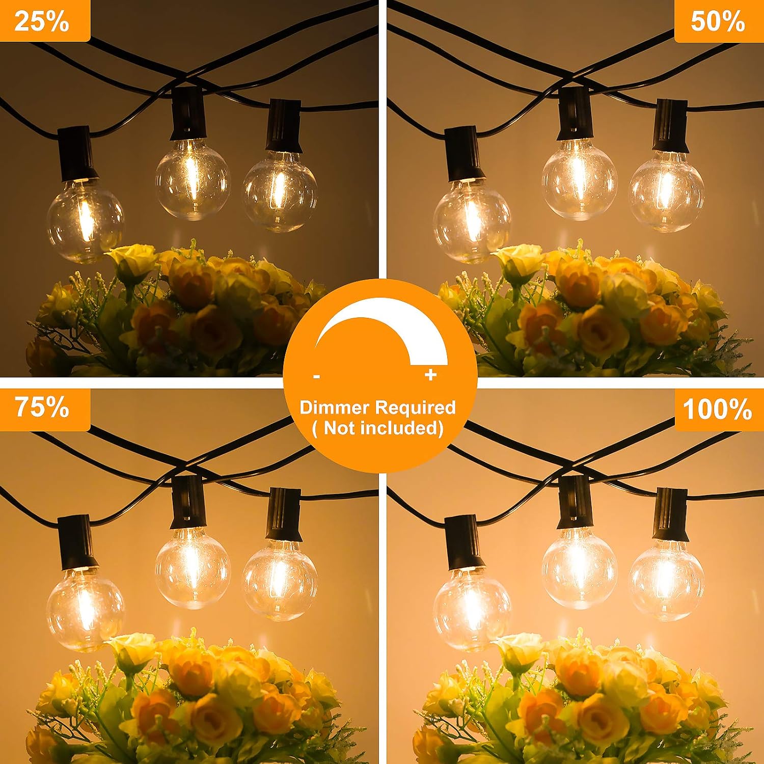 Detalle 2 de G40 LED String Lights 120 ft