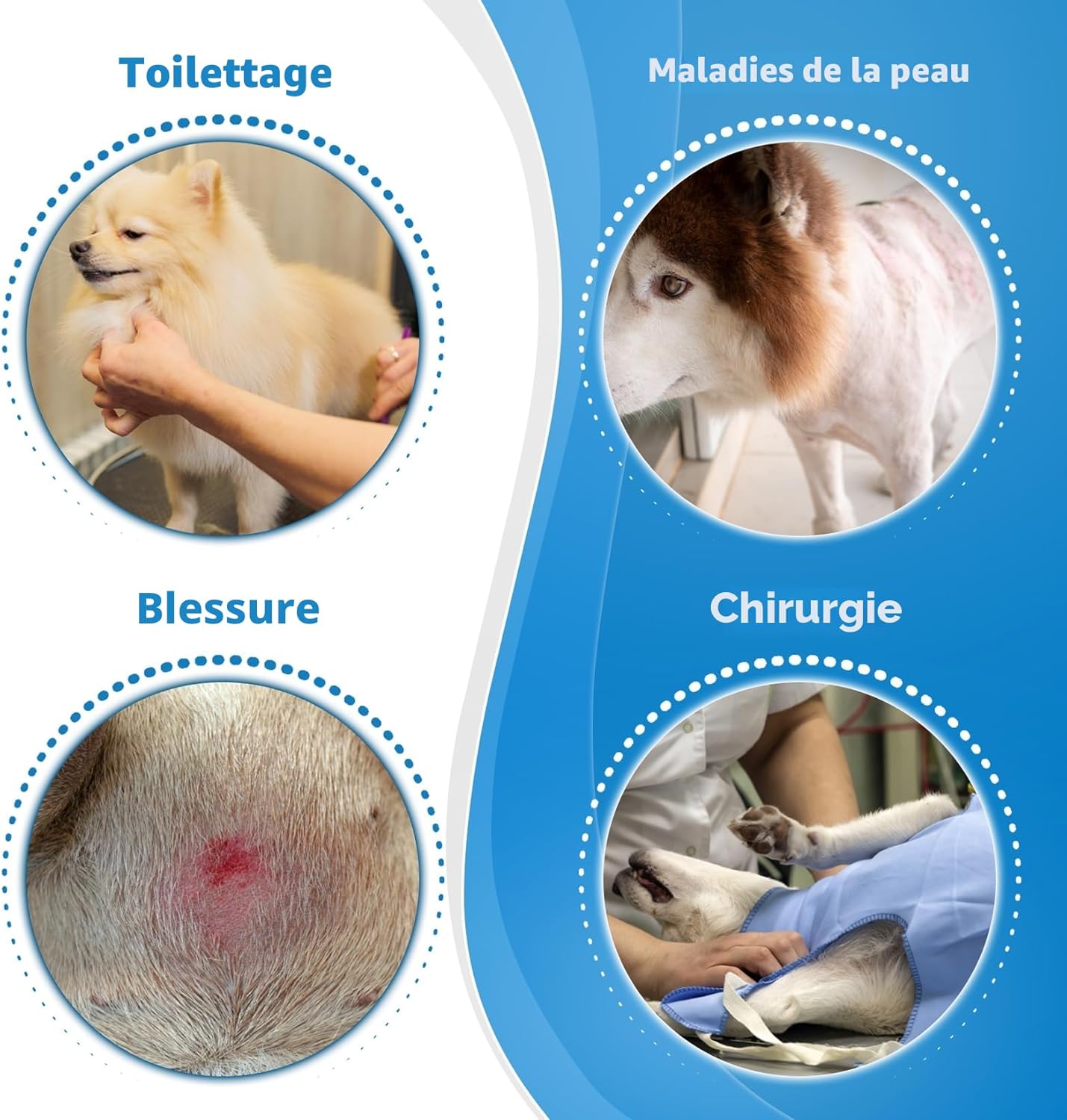 Detalle de Collerette Chien souple et légère Bleu Taille 4 – protection douce pour récupération