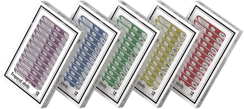 Detalle de Jiusion 60 förberedda mikroskoppreparat i plast för biologiundervisning