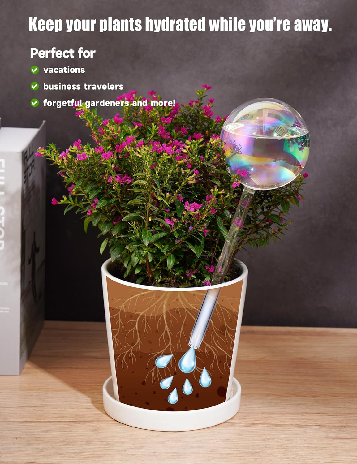 Thumbnail 4 de Tomorotec Iridescent Glass Self Watering Globes 4-Pack (2 Large + 2 Small)
