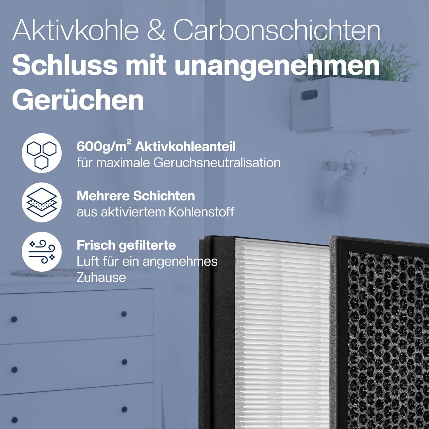 Detalle de Philips AC2882/AC2887 Filter-Set 2er (HEPA+Aktivkohle)