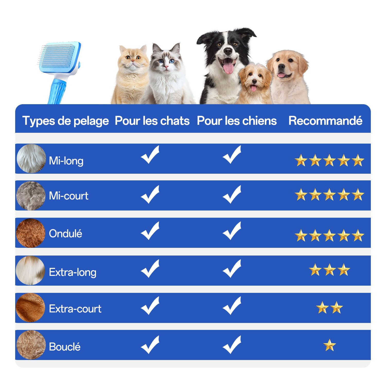 Thumbnail 4 de ACE2ACE Haustier Bürste für Hunde und Katzen 🐾