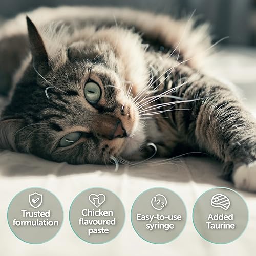 Detalle de Pro-Kolin Advanced for Cats 15ml by Protexin Veterinary