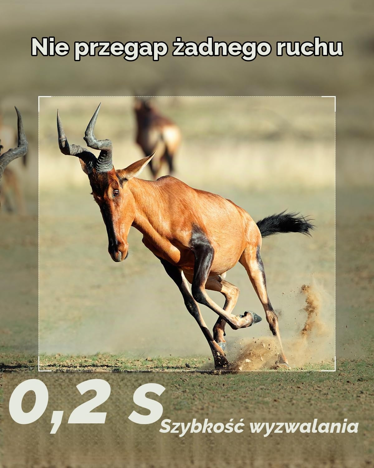 Detalle de iZEEKER iG200 – fotopułapka 32 MP, podczerwień 940 nm, IP66
