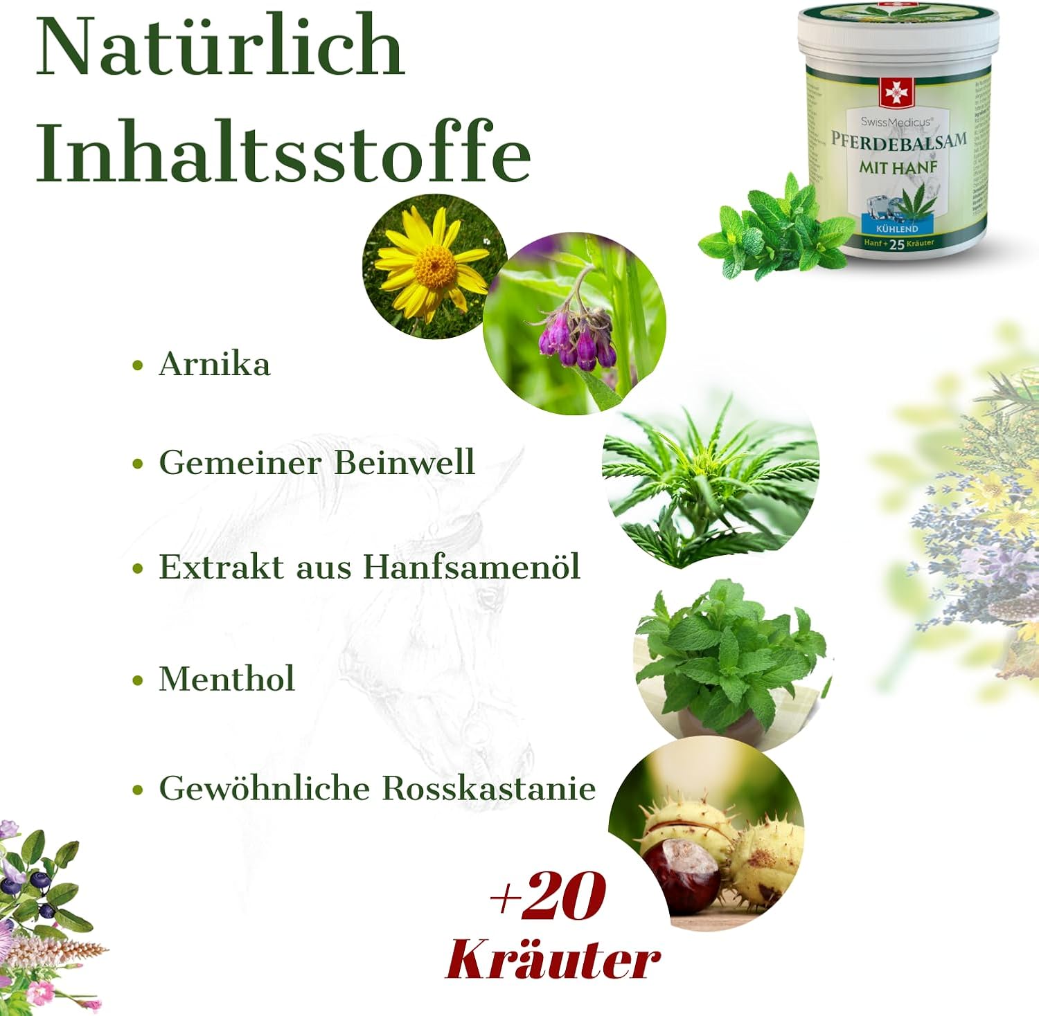 Detalle 1 de SwissMedicus Pferdebalsam mit Hanf – kühlendes Gel mit 25 natürlichen Extrakten, 500 ml