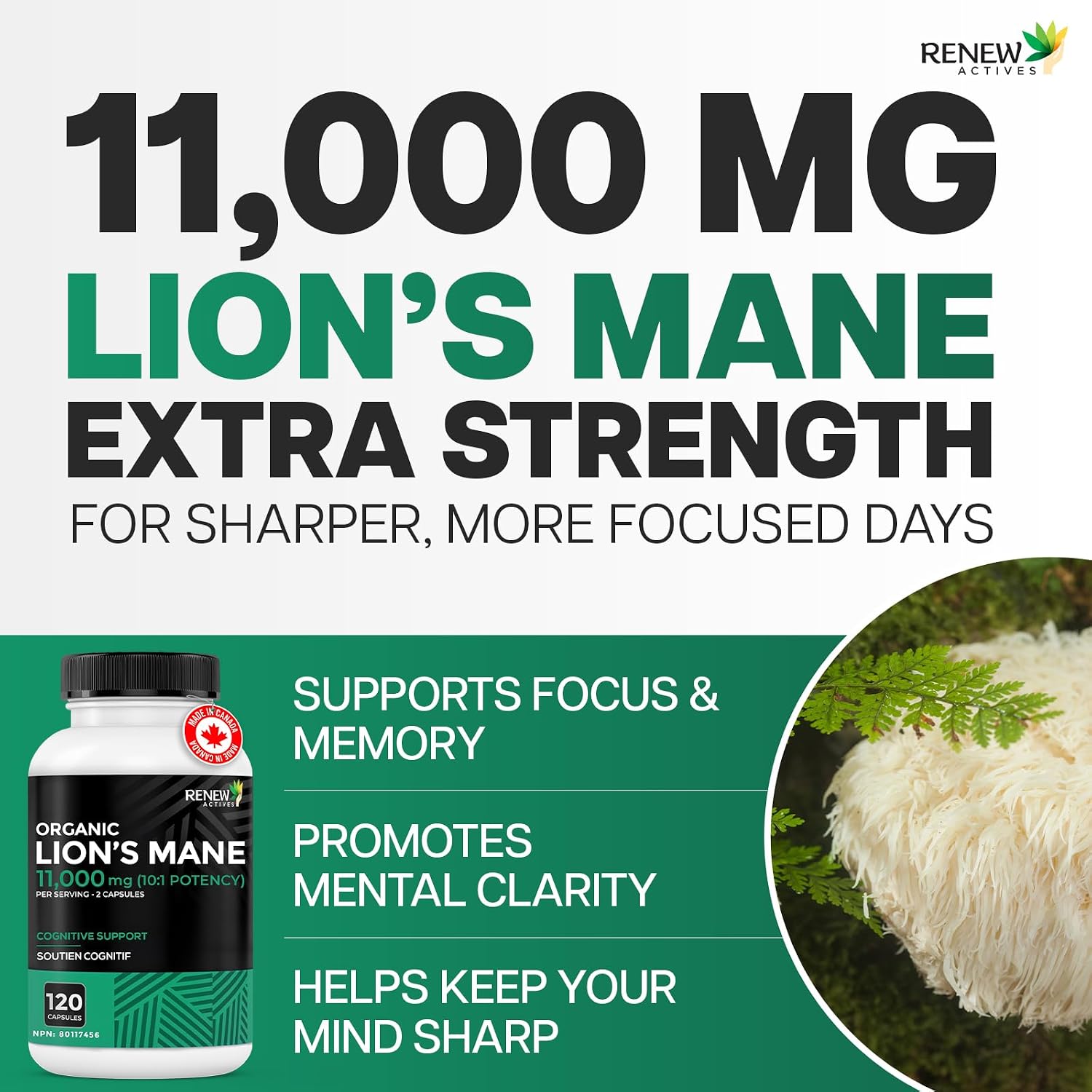 Detalle 1 de Renew Actives Organic Lion’s Mane Mushroom Capsules, 5,500 mg 10:1, 40% Polysaccharides, 240 Count