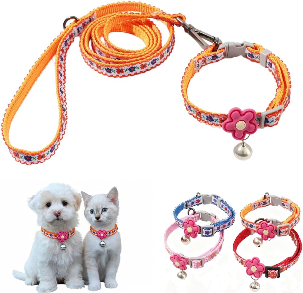 Detalle de Dog Collar and Leash Set, Nylon