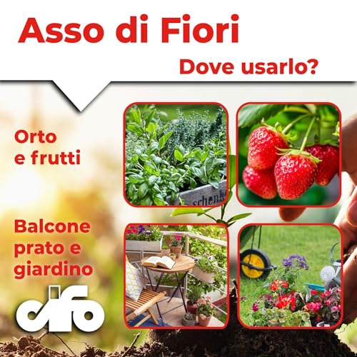 Detalle de CIFO Asso di Fiori - Concime in Polvere per Piante Verdi, Fiorite e Orto (1 kg)