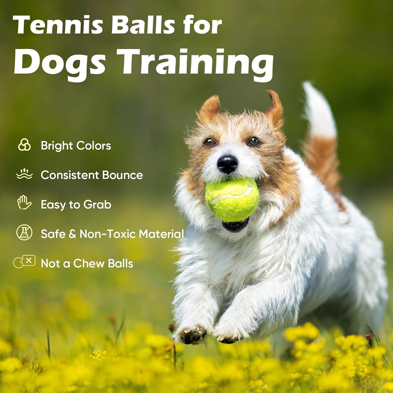 Thumbnail 6 de Treeroot 80-Pack Tennis Balls with 2.55-Inch Diameter and Mesh Bag