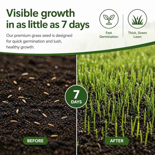 Thumbnail 1 de Growland Premium Fast Growing Grass Seed 1.2Kg – Dense Overseeding Mix for UK Lawns