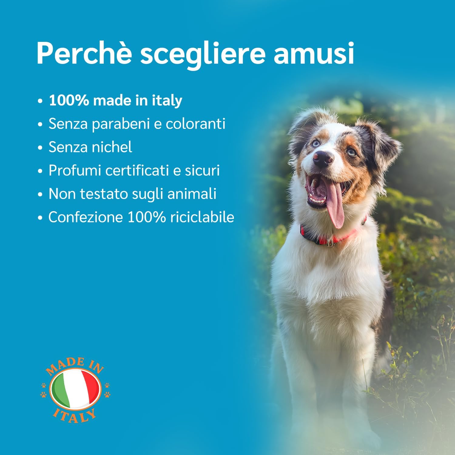 Thumbnail 5 de amusi Dentifricio per cani in polvere 60 g con Ascophyllum nodosum e menta