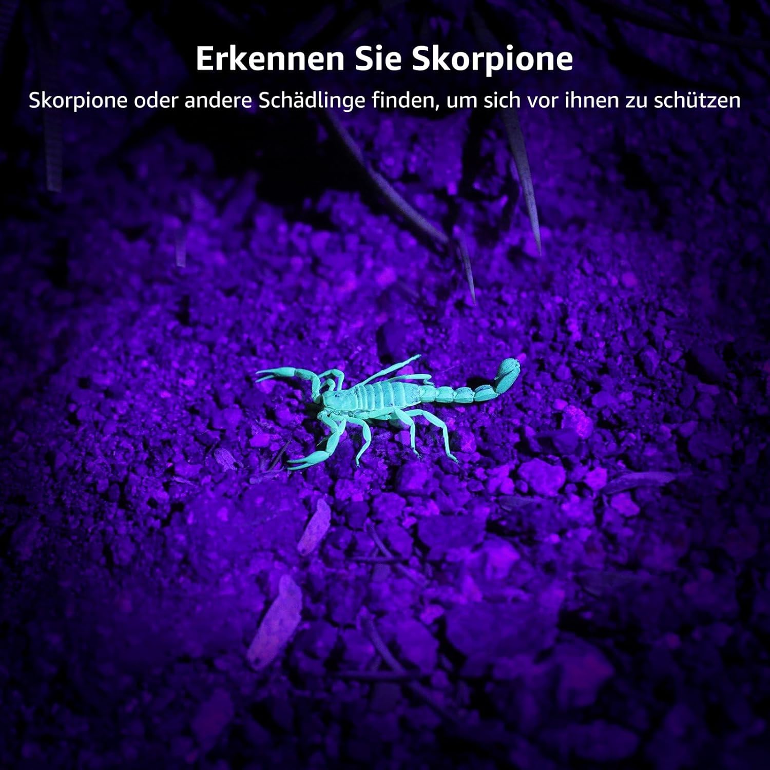 Thumbnail 3 de Lepro HD51 UV-Taschenlampe 395 nm für Haustierurin