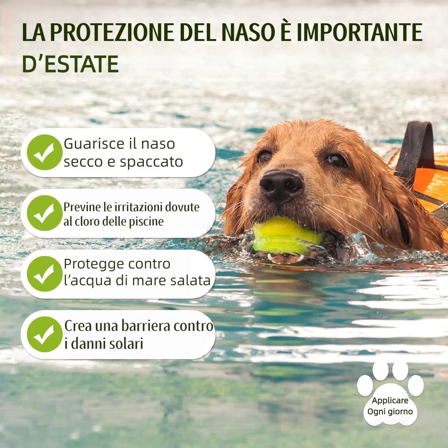 Detalle de Balsamo per il naso biologico per animali domestici di GJYC PET – lenitivo naturale per nasi secchi e screpolati