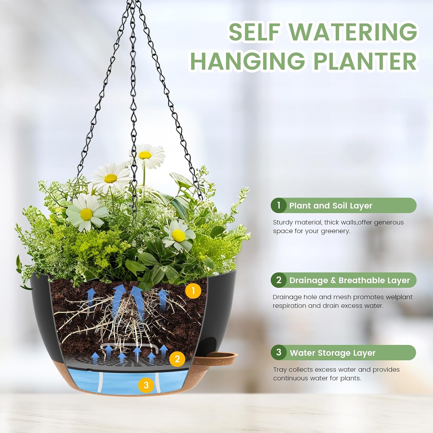 Detalle de Hanging Planters, 12-Inch