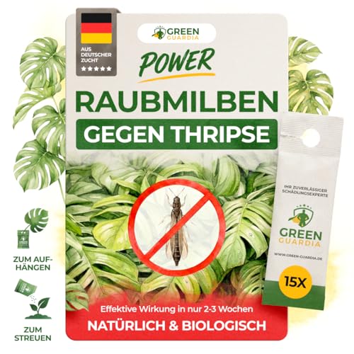 Detalle de GREEN GUARDIA Power Raubmilben gegen Thripse – 15x Tüten