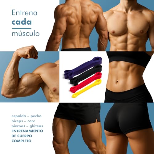 Thumbnail 2 de PORTENTUM Gomas elasticas musculacion – Set de 10 bandas de resistencia (4 niveles) para entrenamiento en casa