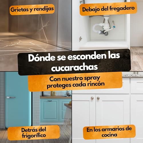 Thumbnail 5 de Panteer NOVACLAC F3 Mata Hormigas en spray (500 ml) – insecticida profesional PT18 para interior y exterior