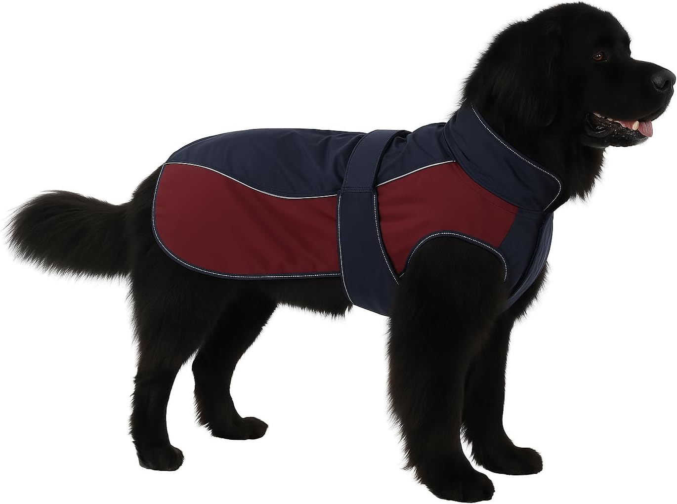 Detalle de Flamingo Hundemantel Winter – Eisberg Dunkelblau & Bordeaux, 75 cm