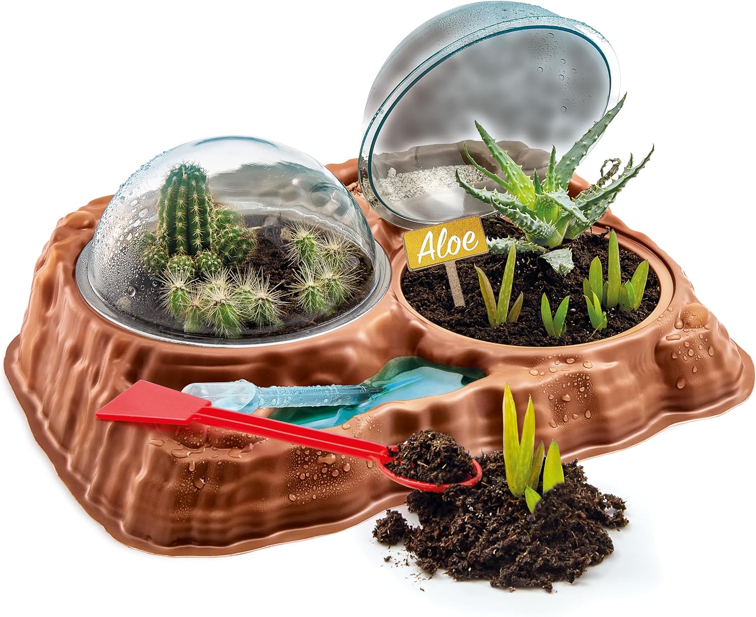 Detalle 2 de Clementoni Science and Play Lab Serre Jouet pour 7 ans 🌵