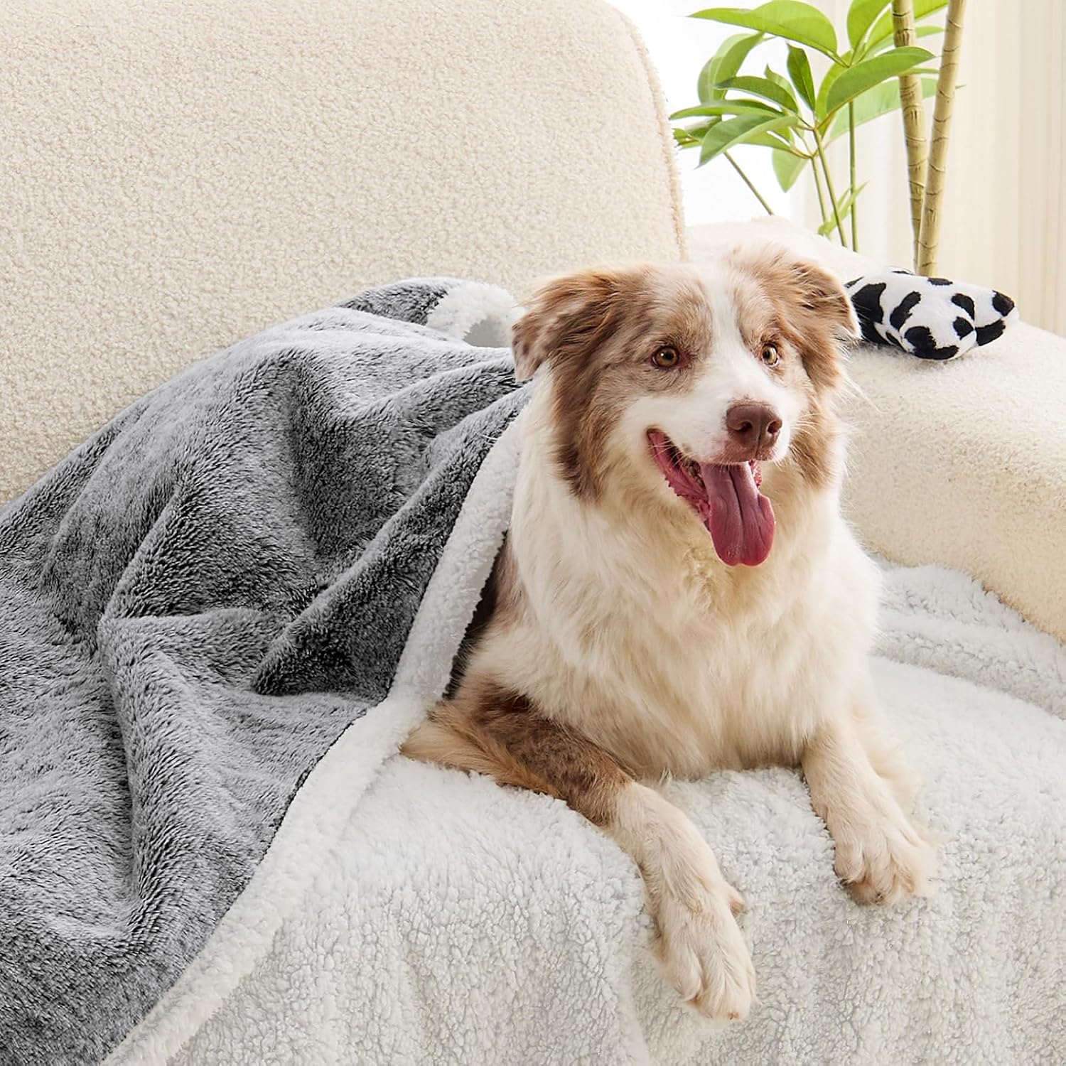 Detalle 1 de ChiXnuggle XL Waterproof Dog Blanket, Reversible Faux Fur and Sherpa, Dark Gray
