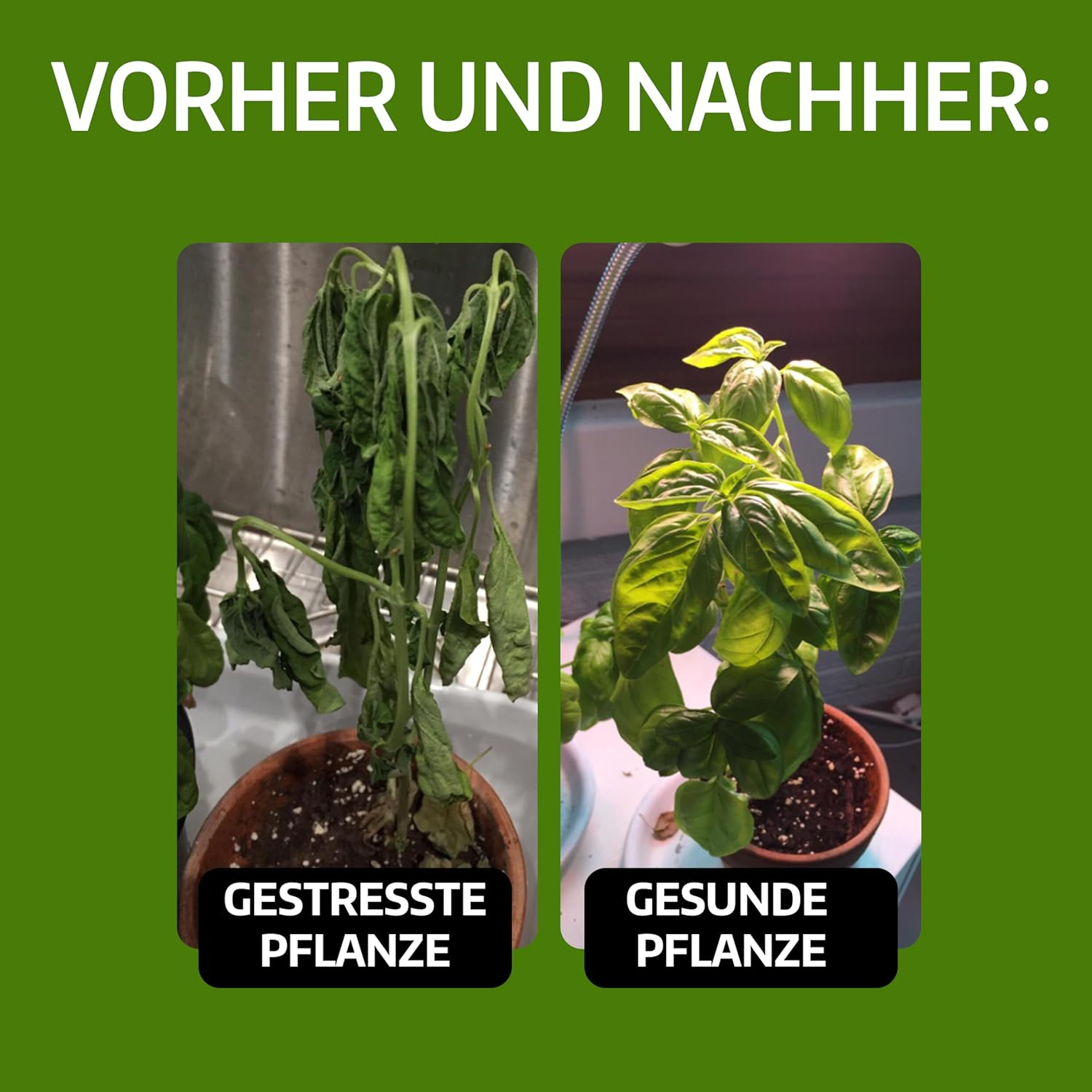 Detalle de LERAVA Kupferoxychlorid (800 g) – Biologischer Kupferschutz für Pflanzen