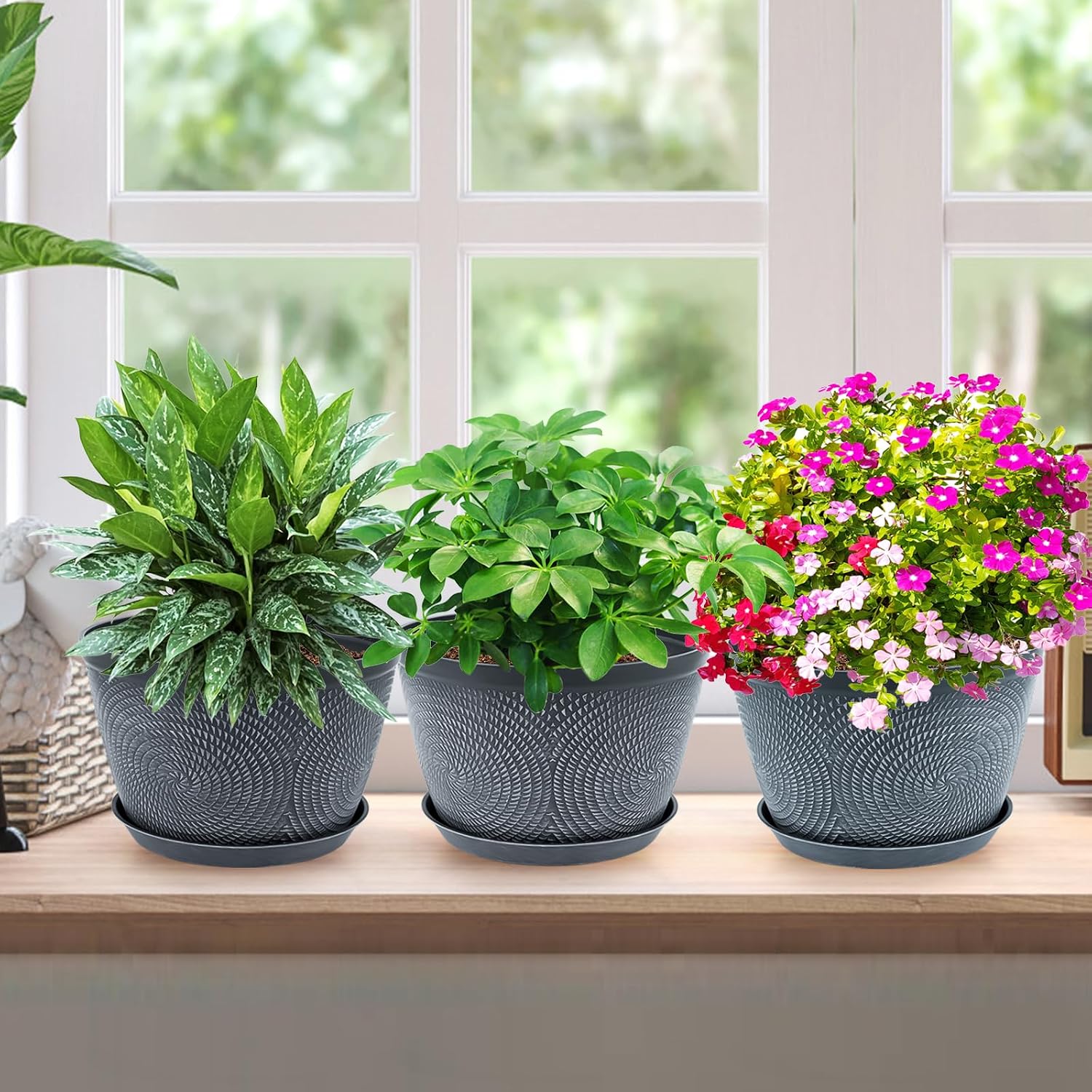 Detalle de Quarut 10-Inch Plastic Planters, 3-Pack with Drainage Holes and Saucers, Gray