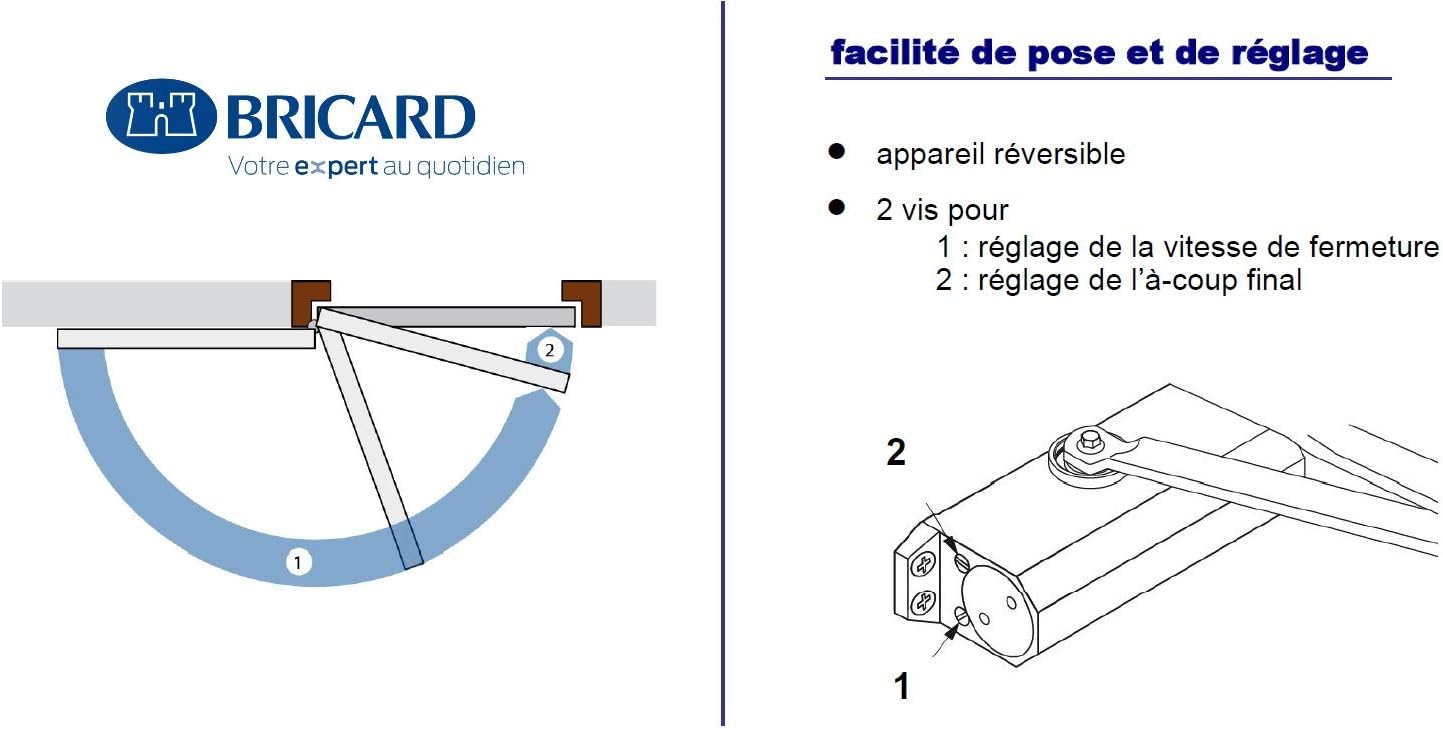 Detalle 2 de Bricard 6100107 Ferme-Porte à bras compas force 2 à 4 – argent