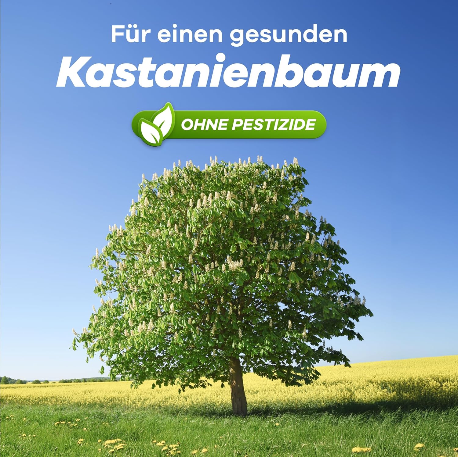 Thumbnail 5 de Gerobug Bio Kastanienminiermotte Pheromonfalle (2 Stück) – insektizidfrei, witterungsfest