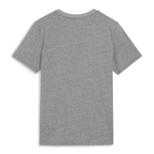 Detalle de PUMA Teamgoal Casuals tee Jr camiseta unisex